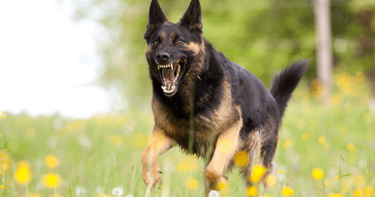 Cobertura seguro de hogar