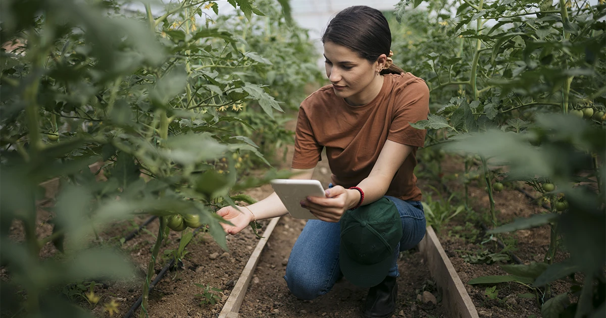 ¿Cómo crear un modelo de negocio sostenible y escalable?