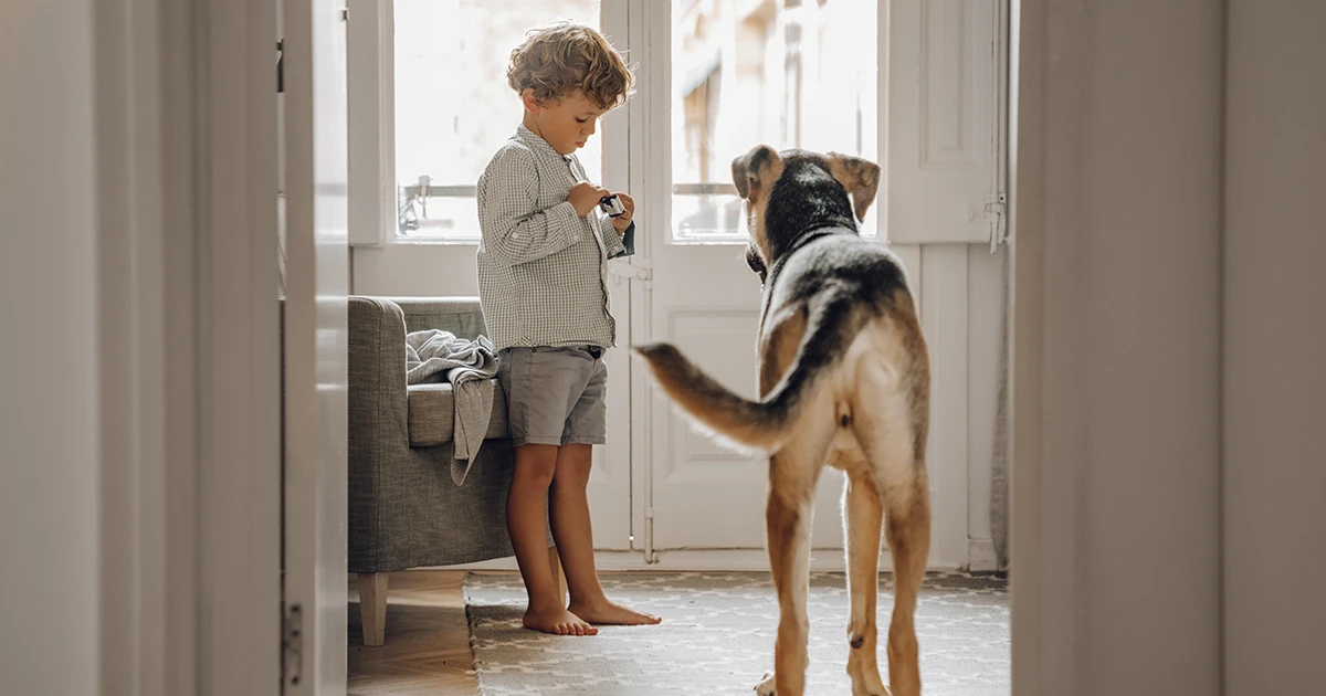¿Cómo se llama el perro más grande del mundo?