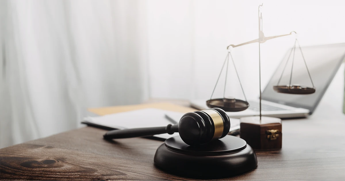 ¿Cuándo entró en vigor la ley del Bienestar Animal?