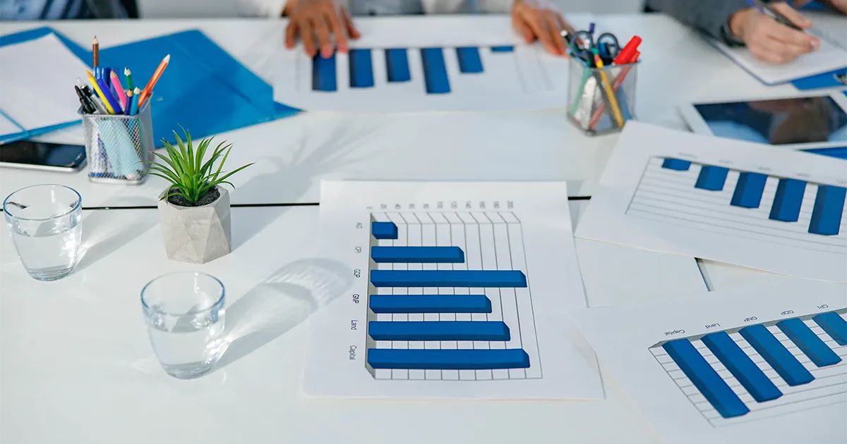 ¿Qué tipos de plan contable se utilizan?