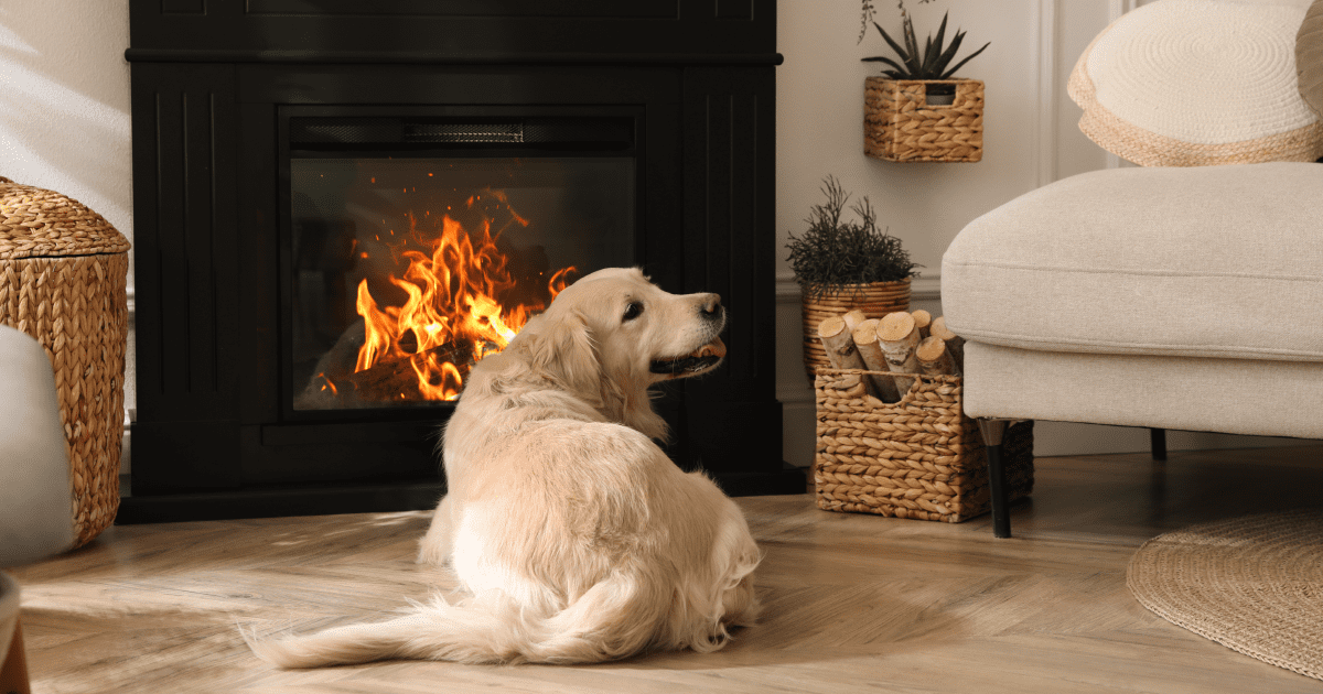 mejor seguro de hogar